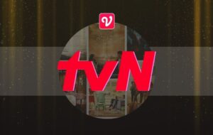 VidioのTVNプログラム