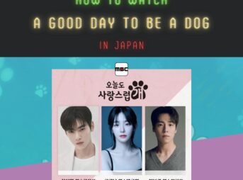【チャウヌ主演】MBC「ワンダフルデイズ」(오늘도 사랑스럽개)の配信を日本から視聴する方法！アマプラやネトフリでは見れない